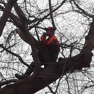 Meet your Posher, Benjamin